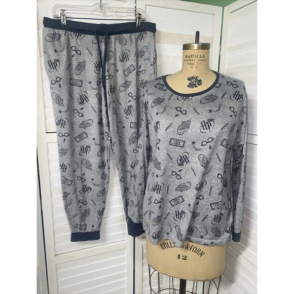 Harry Potter Women’s Wizarding World Character Sleep Pajama Set Gray Large - Picture 1 of 13